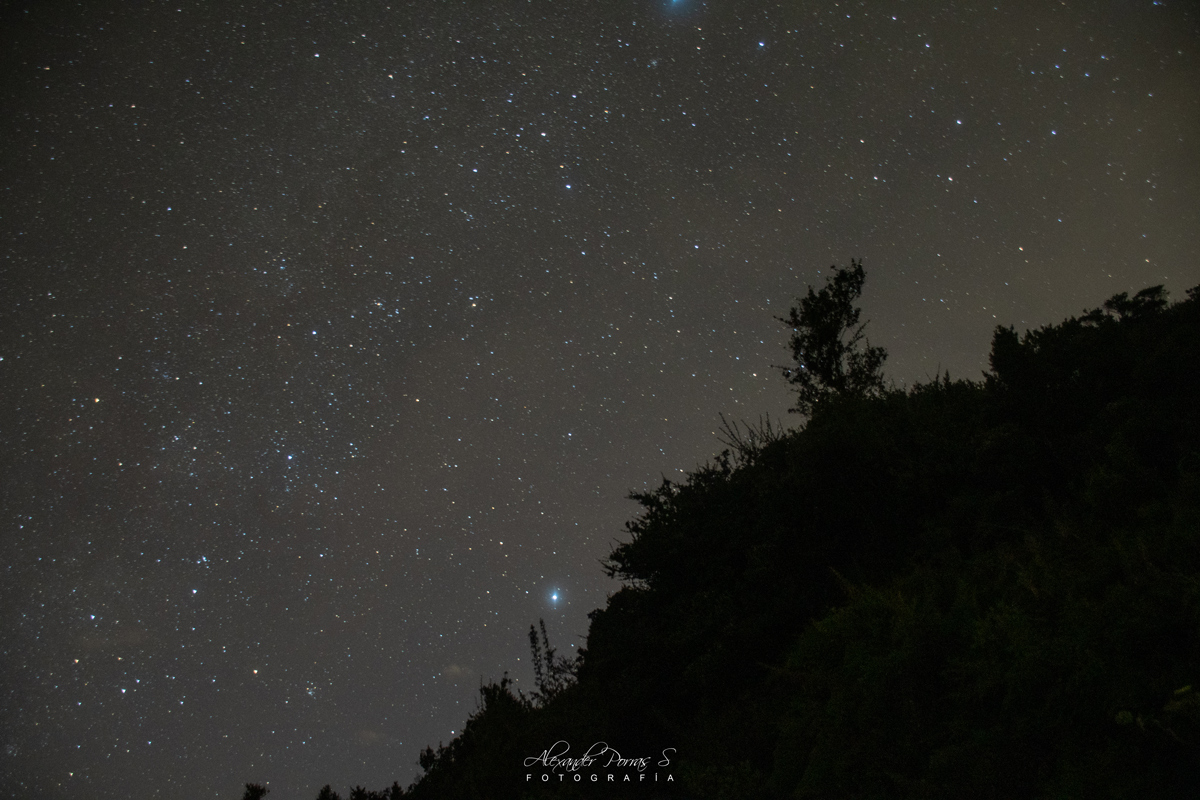Nocturna 1 - Fotografía de Alexander Porras